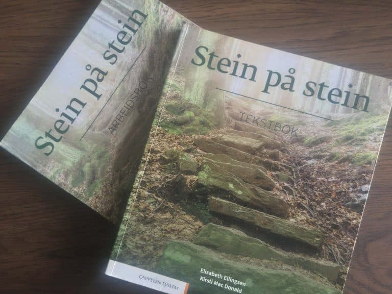 Stein på Stein lærebok i norsk B1