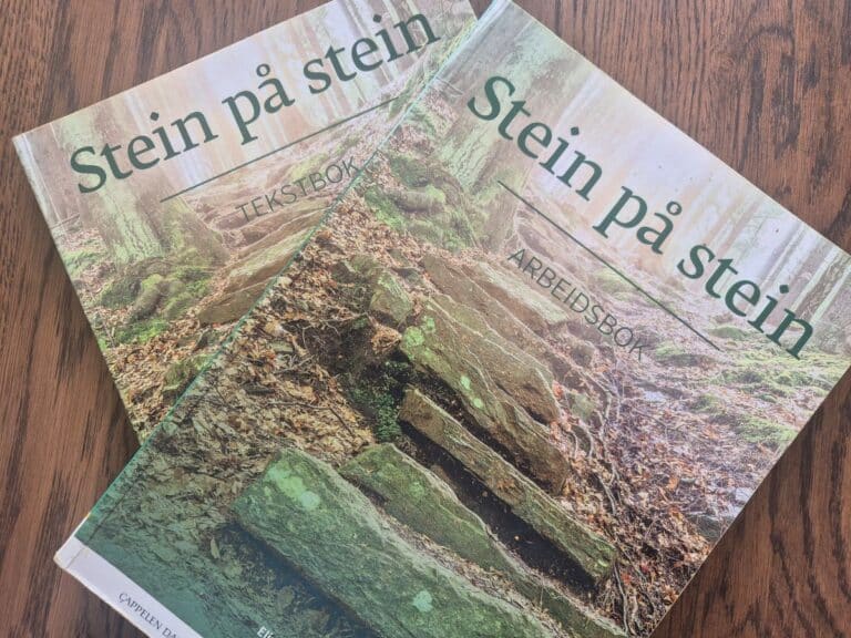 Stein pa stein