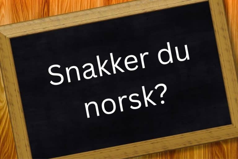 Snakker du norsk